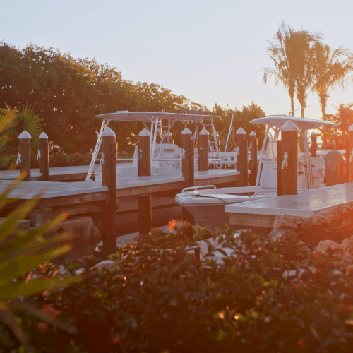 A peaceful marina at sunset with boats docked along the pier, palm trees in the background, and warm orange sunlight glowing over the scene.