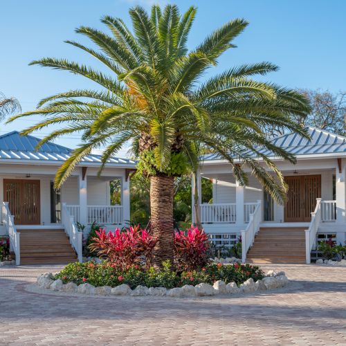 A tropical resort courtyard with a tall palm tree, colorful flowers, and white bungalow buildings with blue metal roofs.